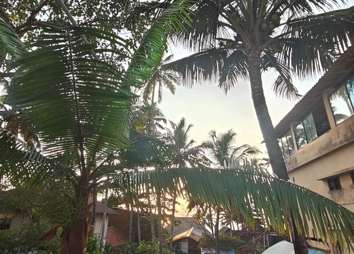 Guest house Yog Hostel Varkala India